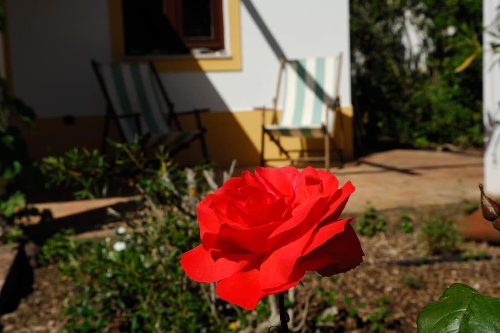 Vale Do Guizo: Casa Poente On The Contryside, Close By The Sea. Aljezur Bagian luar foto